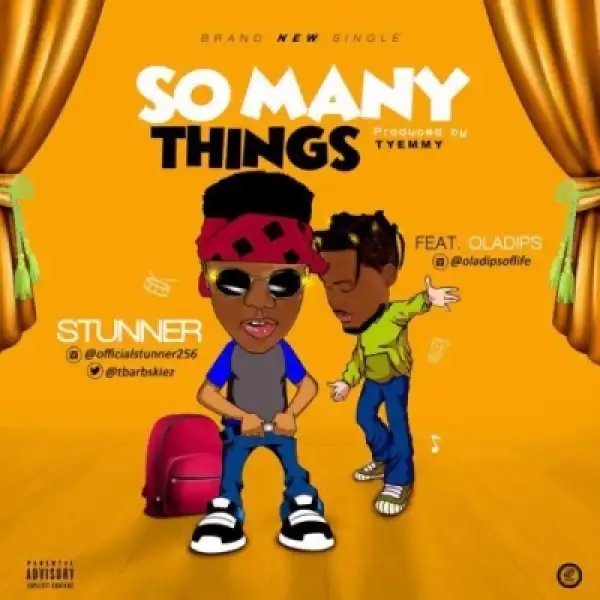 Stunner - So Many Things